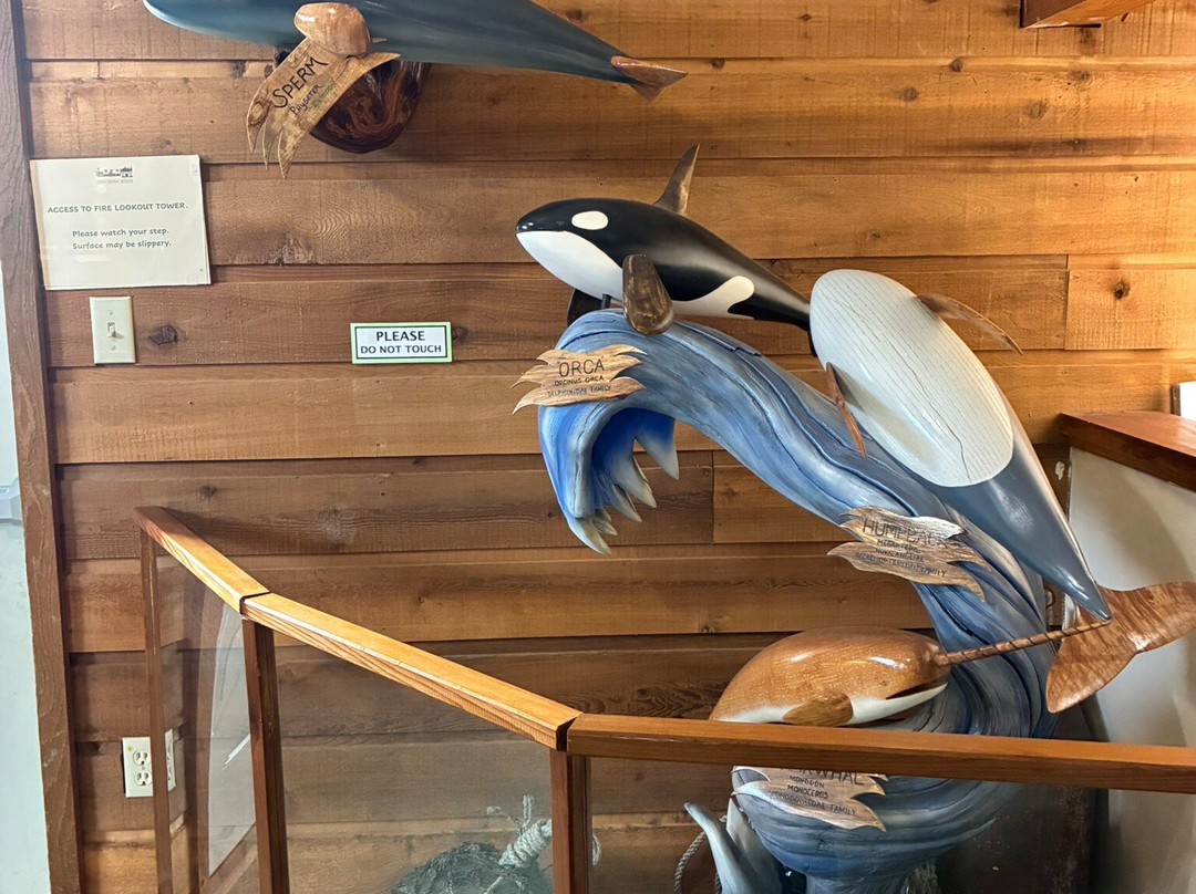 Forks Timber Museum-福克斯必去景点