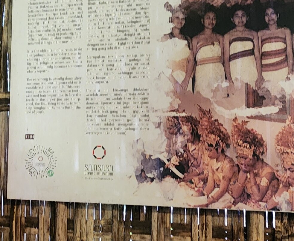 Samsara Living Museum-Jungutan必去景点