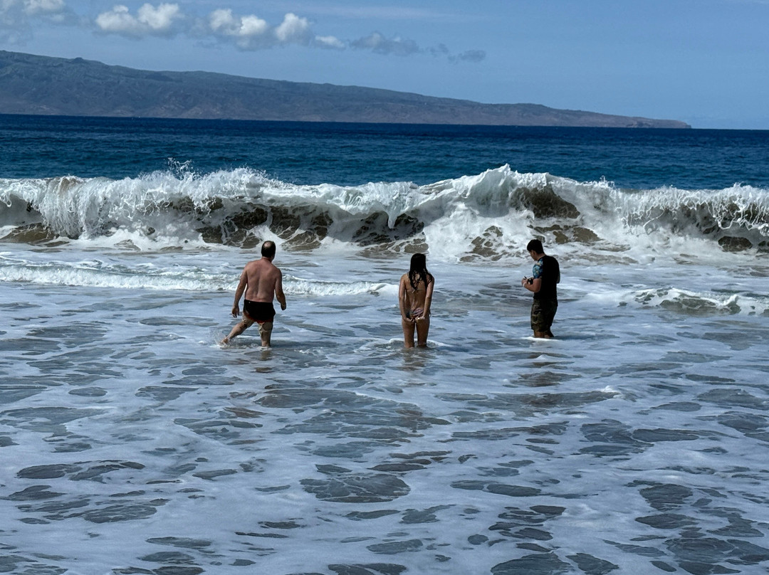 Maui's Beach House-拉海纳必去景点