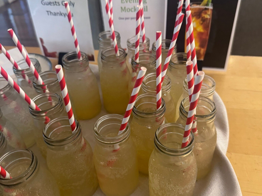 Elysia Wellness Retreat主图