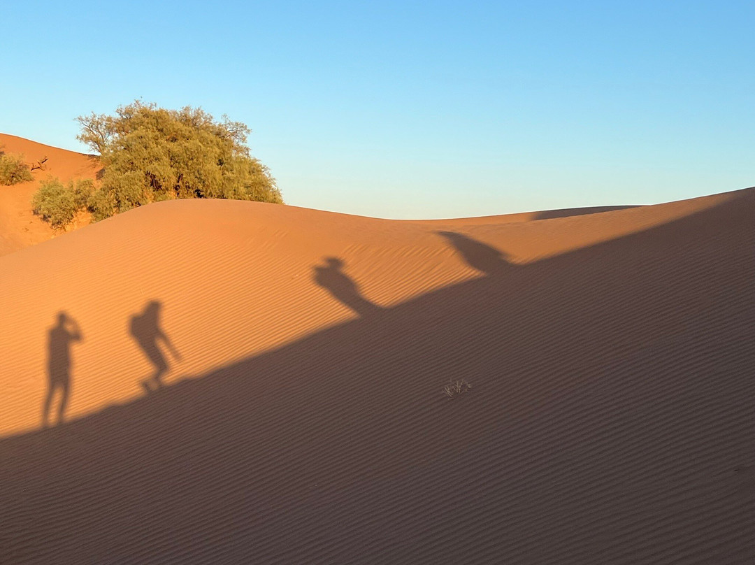 Mélodie du désert-迈哈米德必去景点