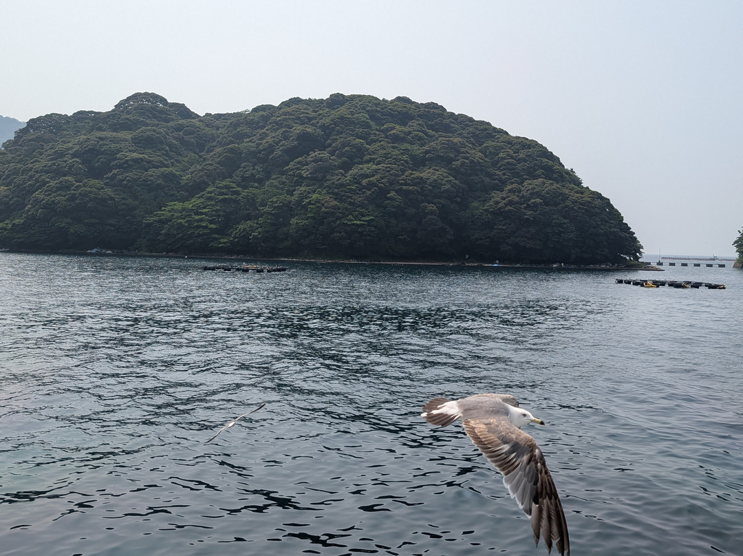Tango Kairiku Kotsu Ine Bay Boat Tours-伊根町必去景点