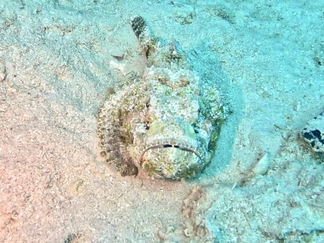 iDive Diving Centre-马卡迪湾必去景点