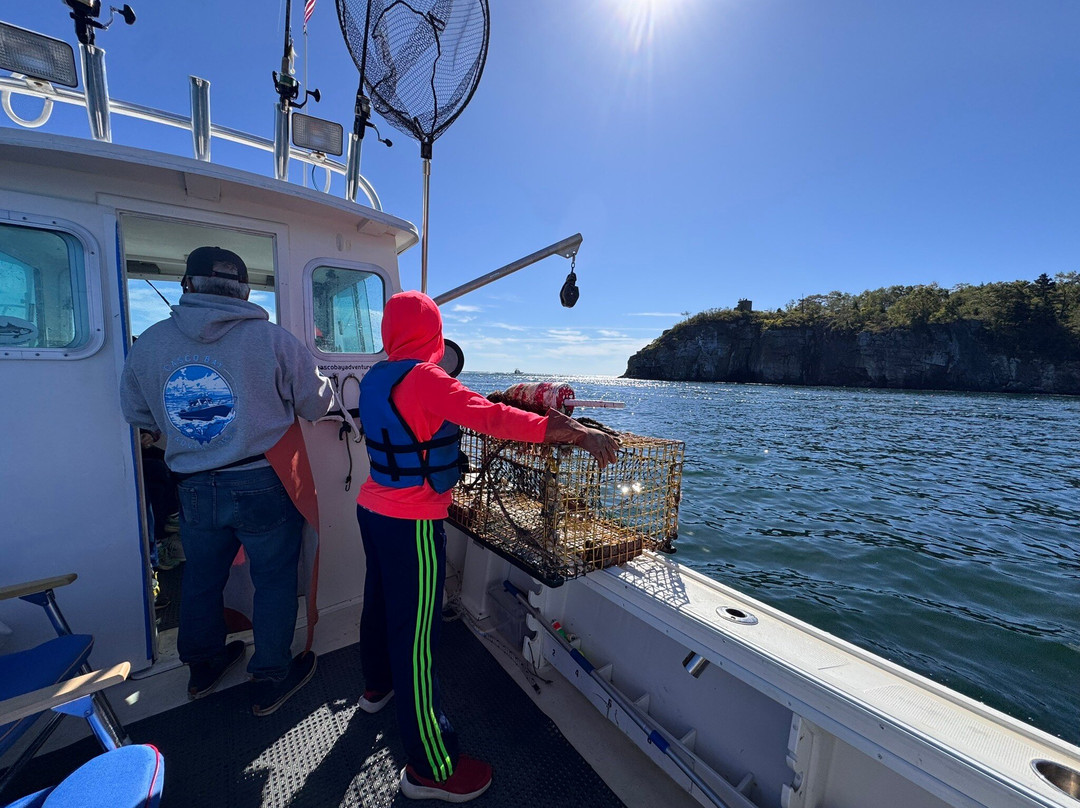 Casco Bay Adventures-南波特兰必去景点