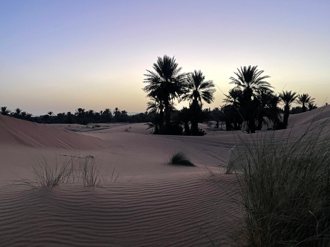 Redspezia-Marrakech-Safi必去景点