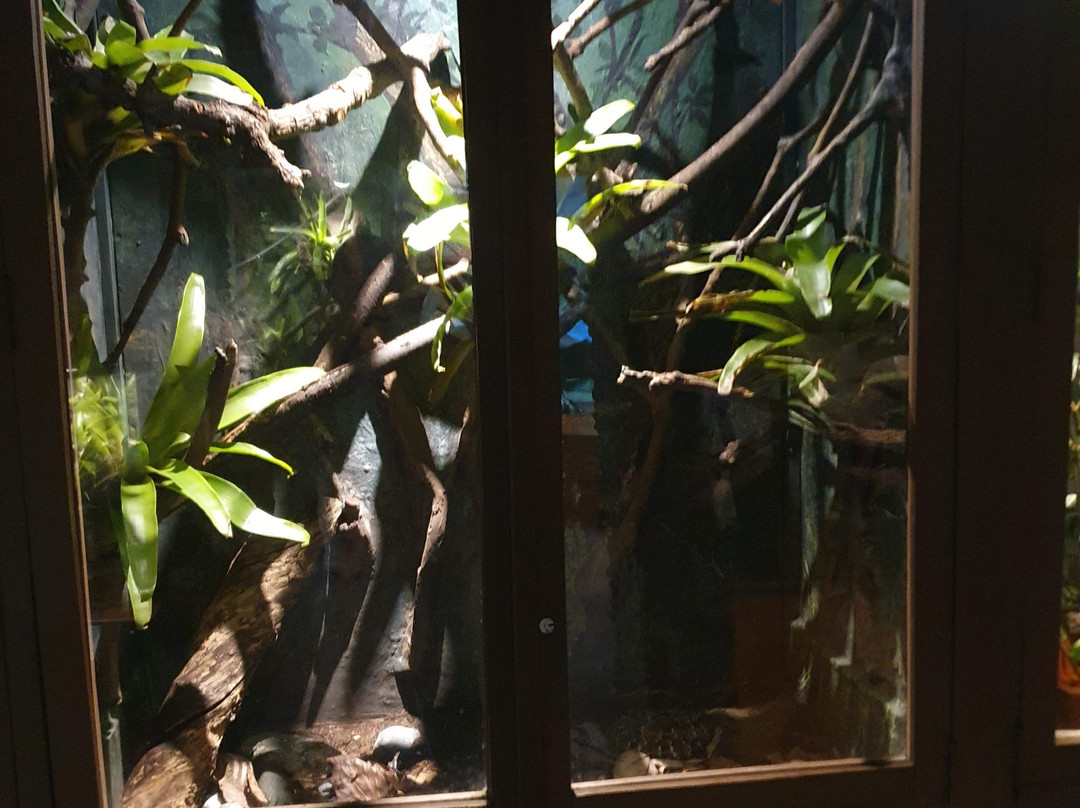 Vivarium de Quito-基多必去景点