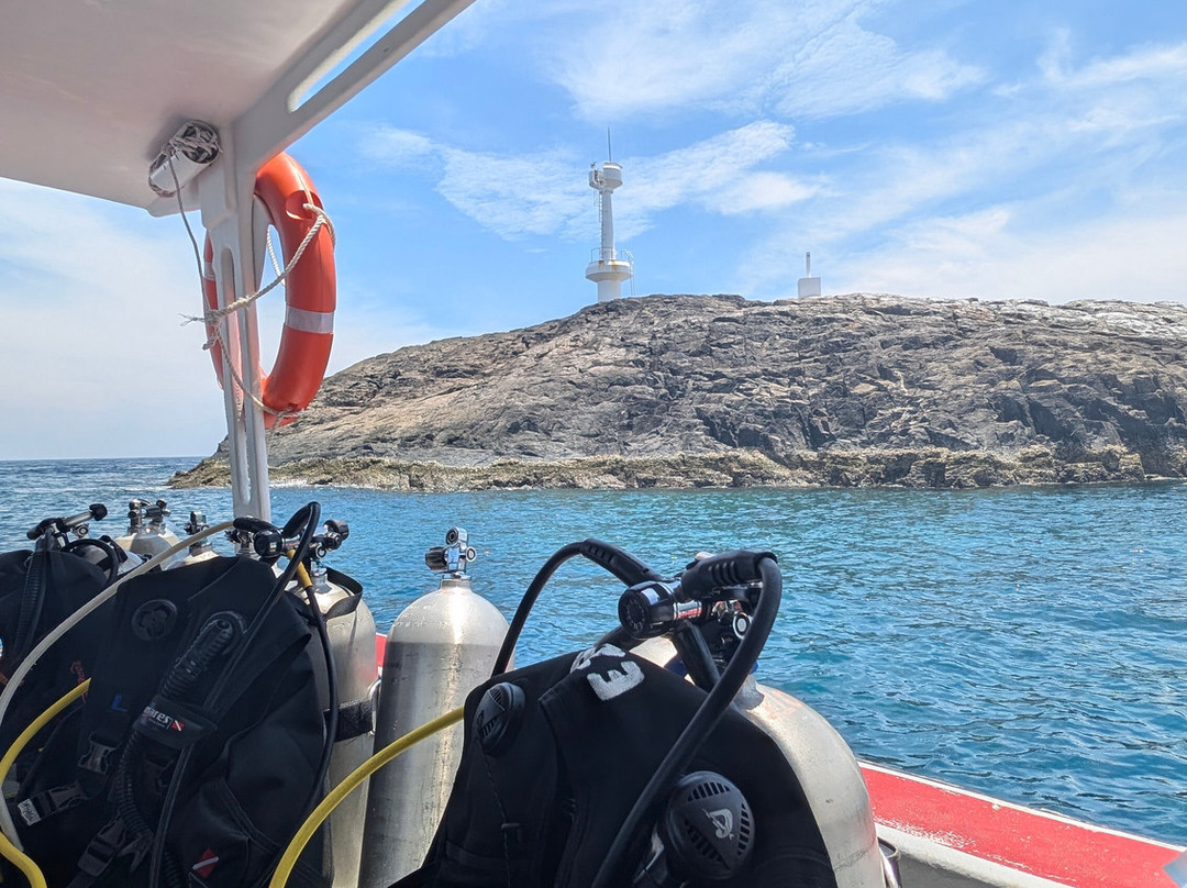 Viking Scuba Tenggol-龙运必去景点