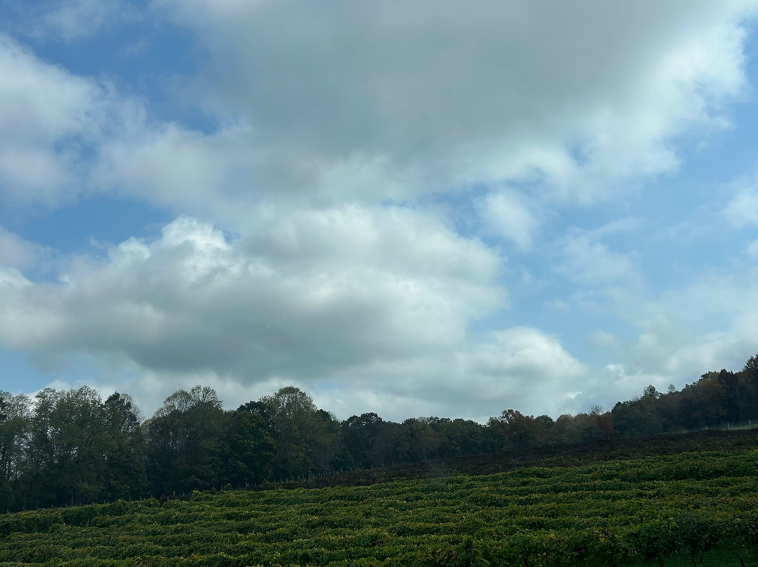 Cartecay Vineyards-Ellijay必去景点