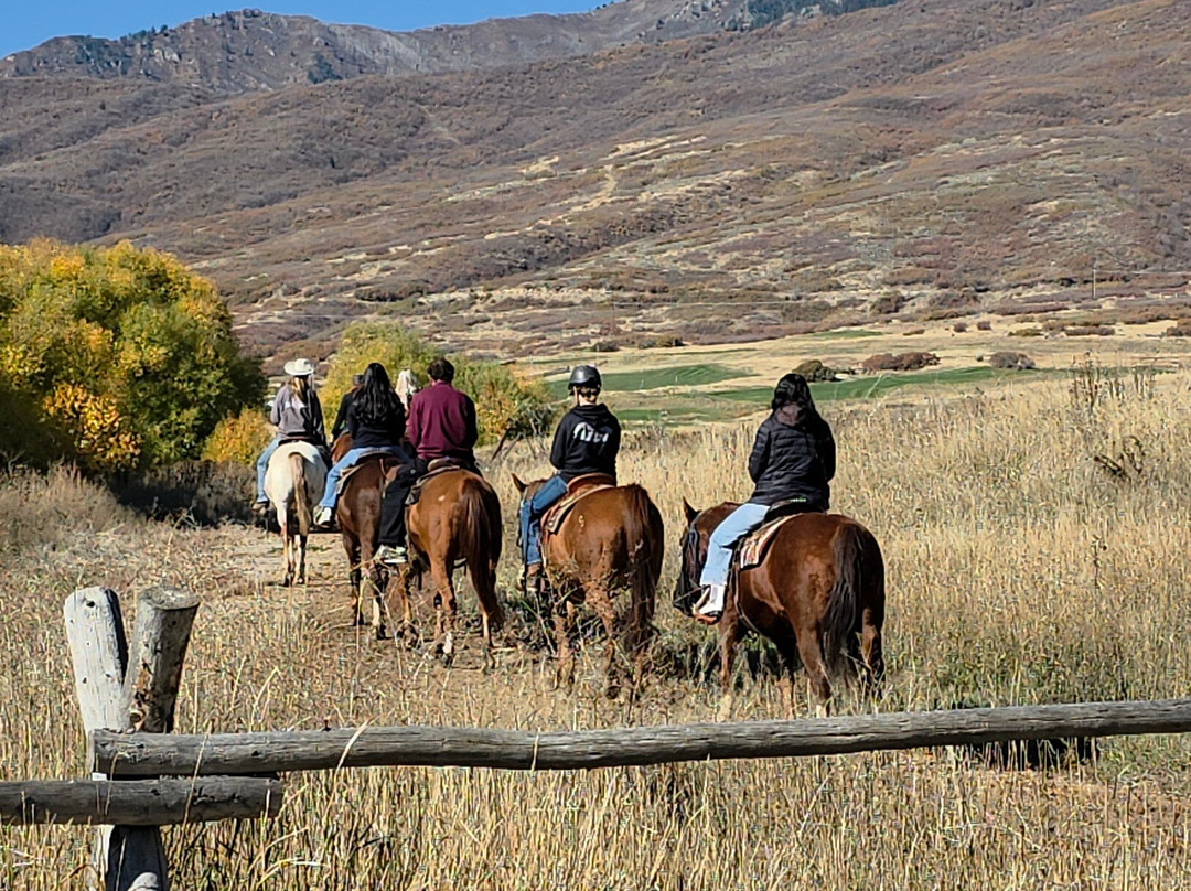 Rocky Mountain Outfitters-Midway必去景点