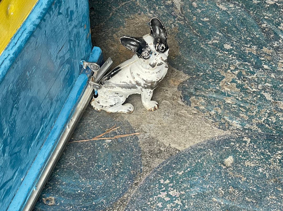 Pexcho's American Dime Museum-奥古斯塔必去景点