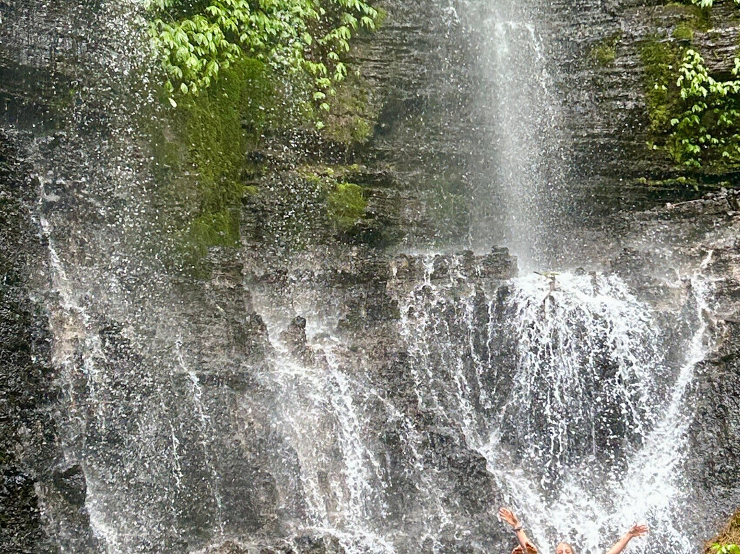 Menjangan Tour Snorkeling & Diving-Pejarakan必去景点