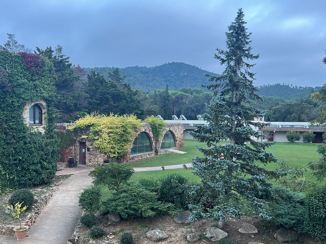 Avalon Holistic Ayahuasca Retreats-巴塞罗那必去景点