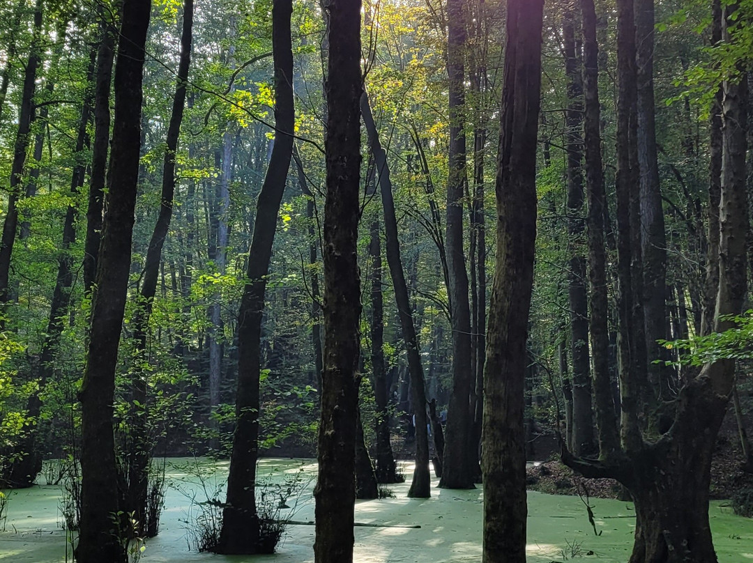 Dalahoo Tour & Travel-德黑兰必去景点