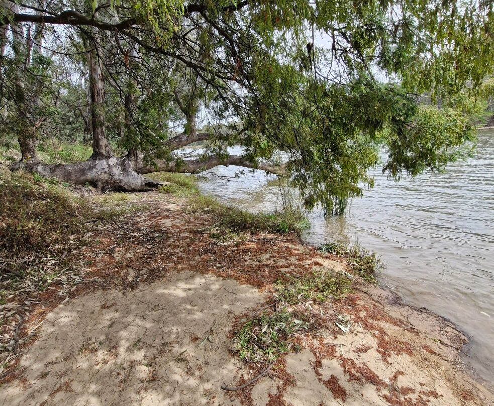 Quick's Beach-Barooga必去景点