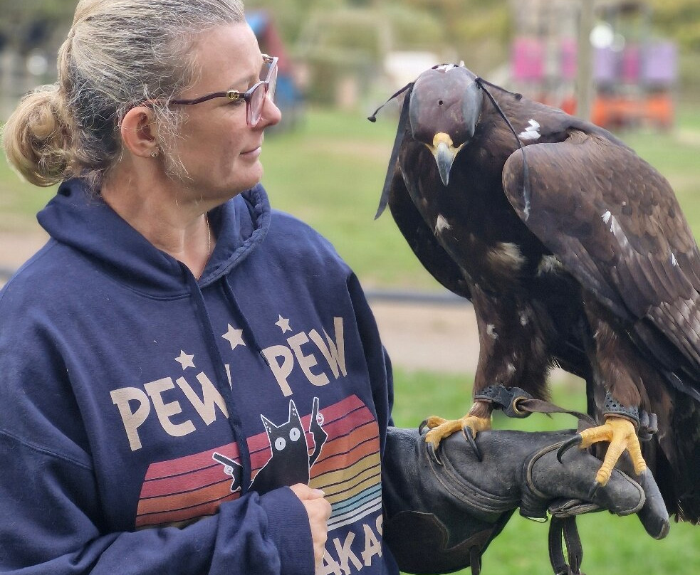 Kent Owl Academy-梅德斯通必去景点