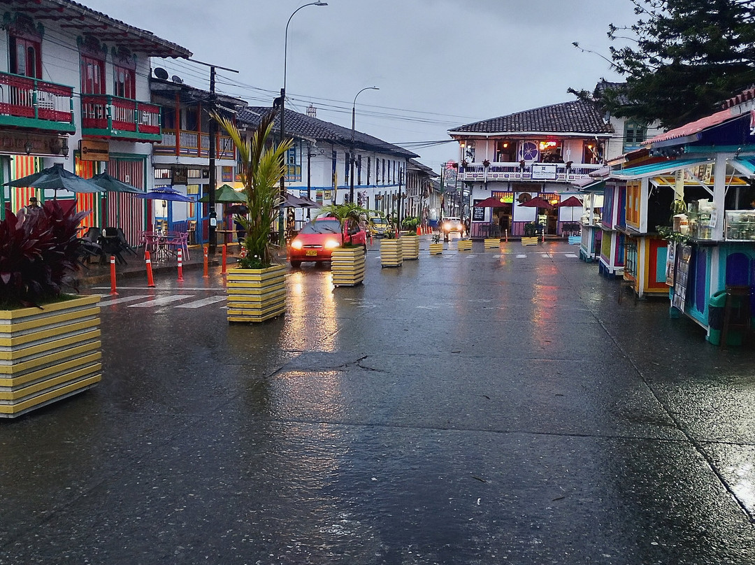 Cocora Trek Salento-萨伦托必去景点