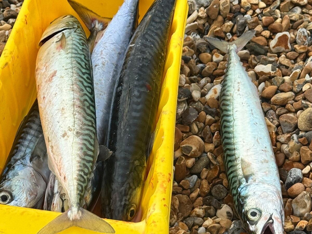 Seaford Beach-西福德必去景点