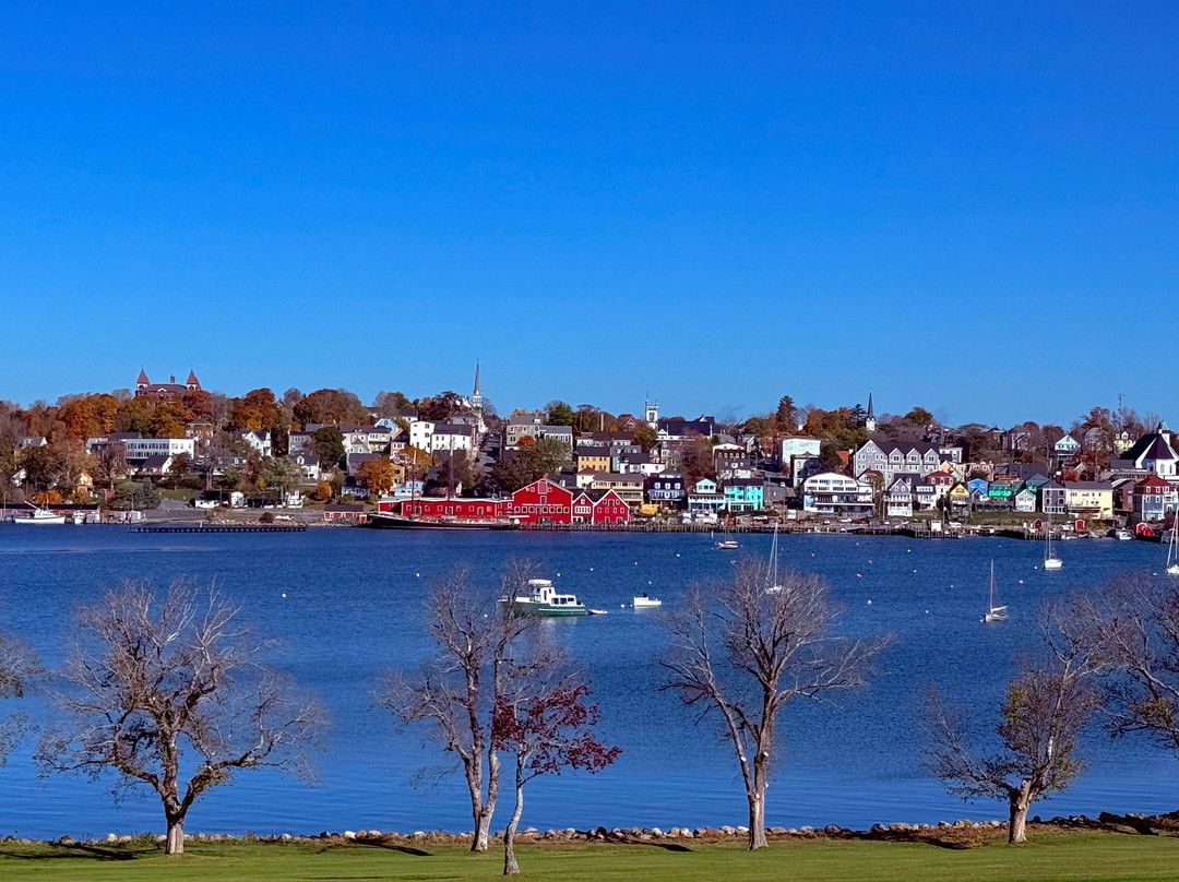 ToursByLocals-哈利法克斯必去景点