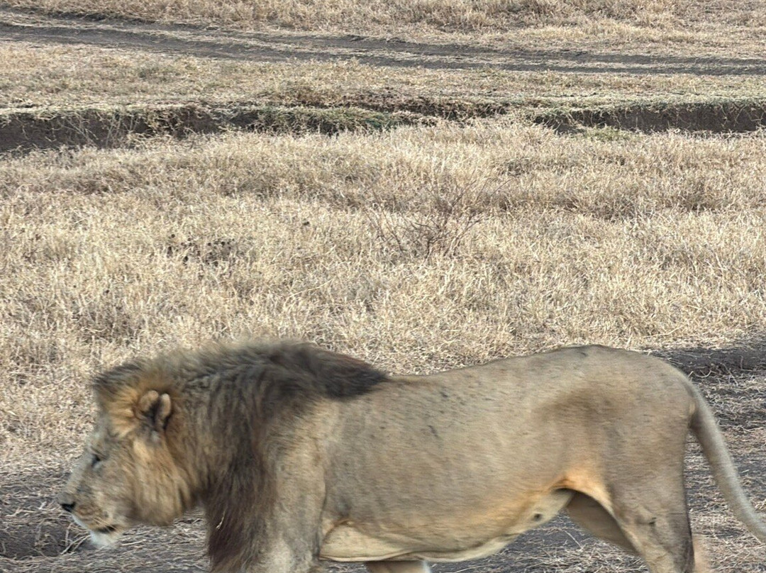 Unlimited Expeditions - The Soul Of Tanzania-阿鲁沙必去景点