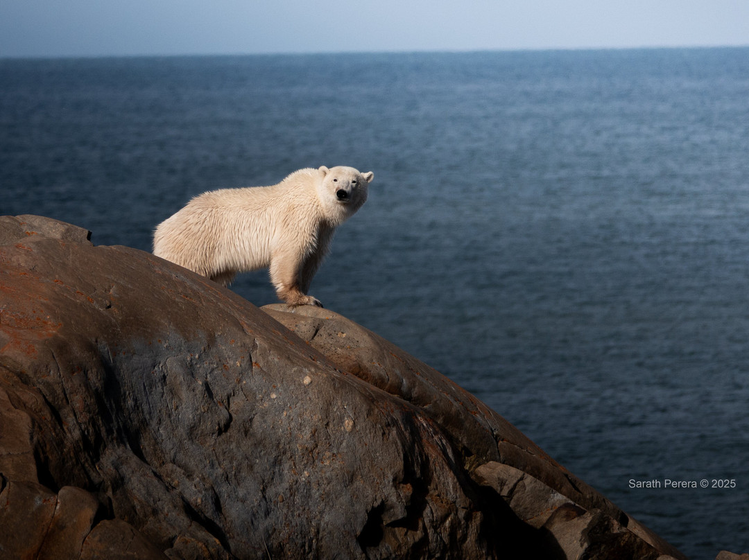Discover Churchill Tours-丘吉尔必去景点