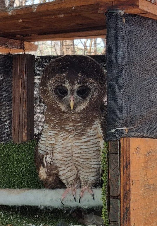 CARACAL Biodiversity Center-卡萨尼必去景点