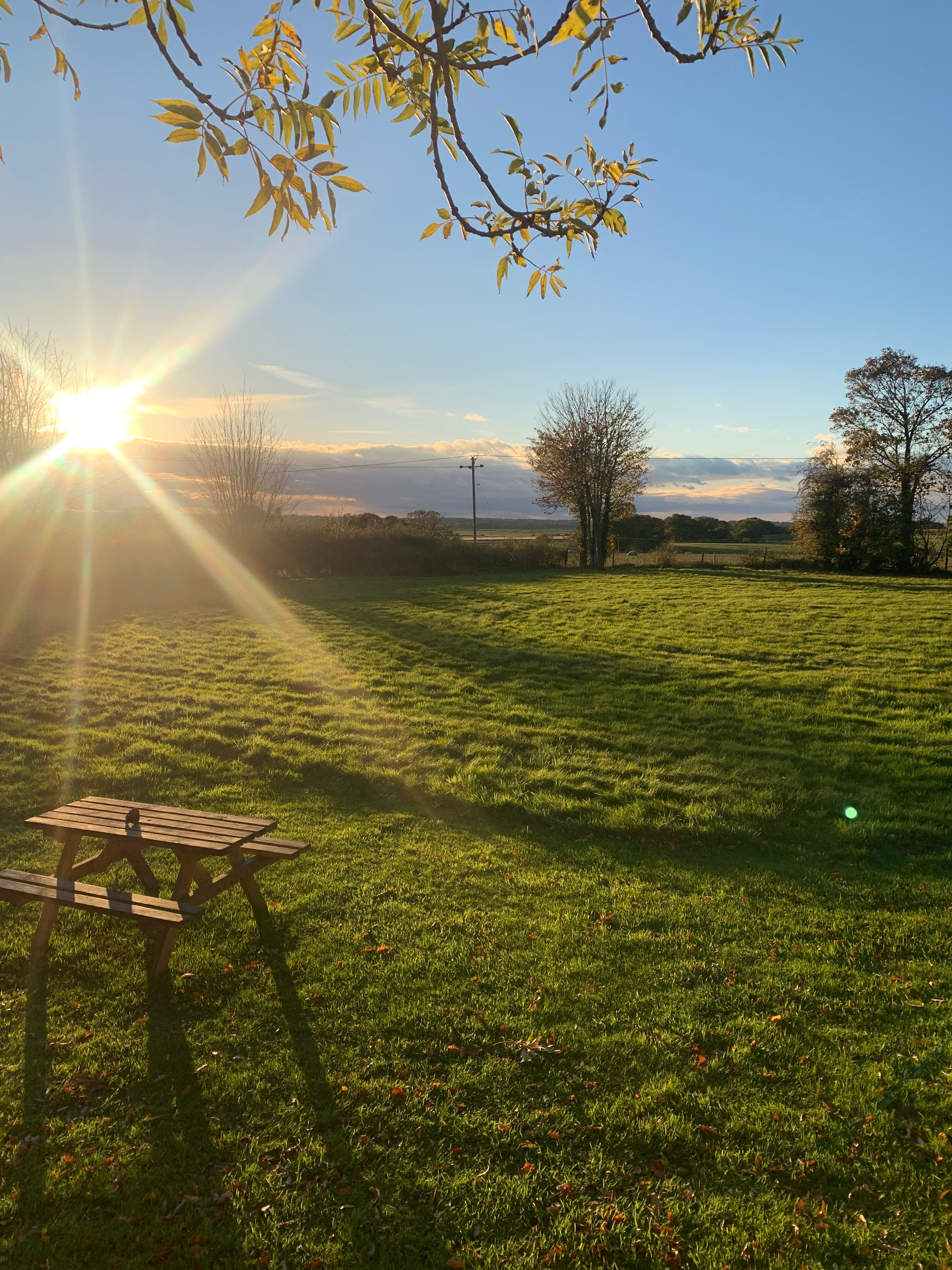 Somerleyton Meadows-官方