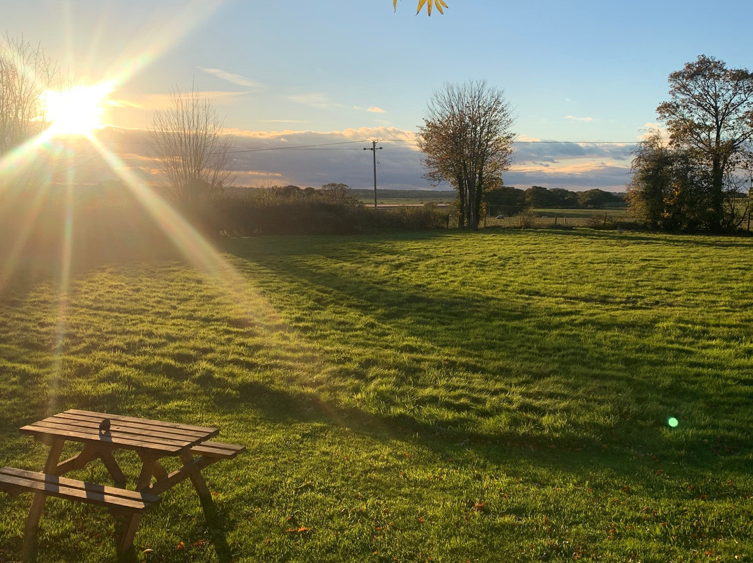 Somerleyton Meadows主图