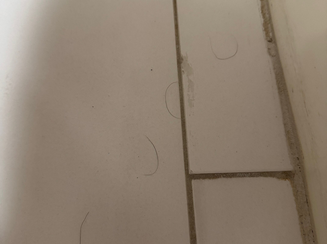 Sheraton Atlanta Perimeter North Hotel主图