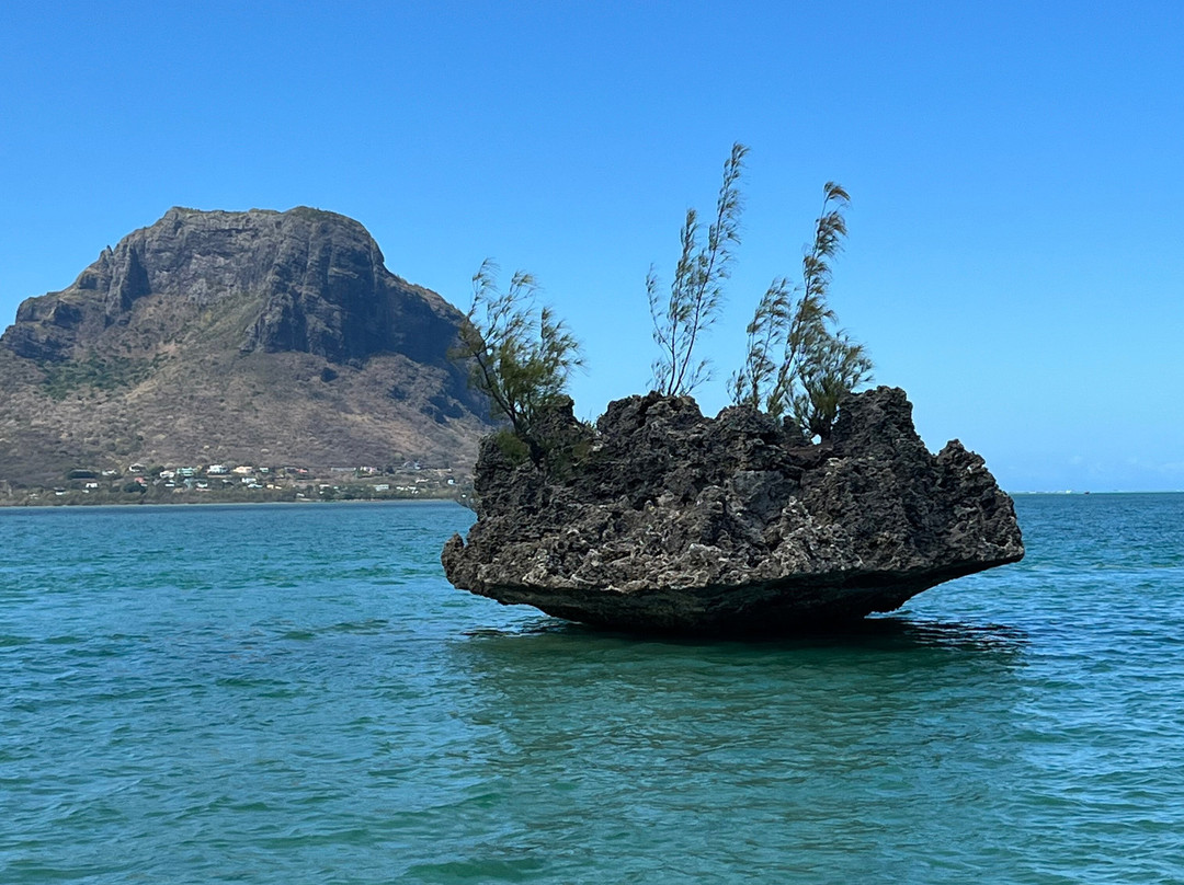 Vitamin Sea™-Black River必去景点