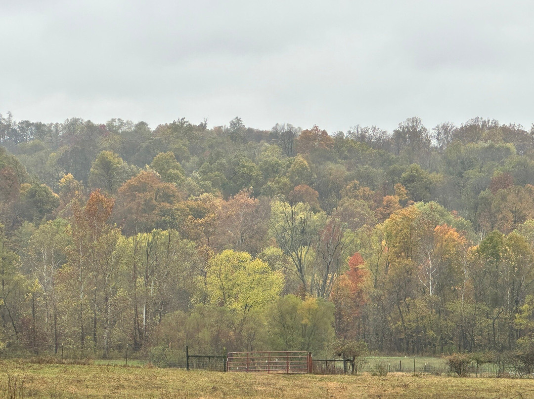 Carousel Winery-Mitchell必去景点