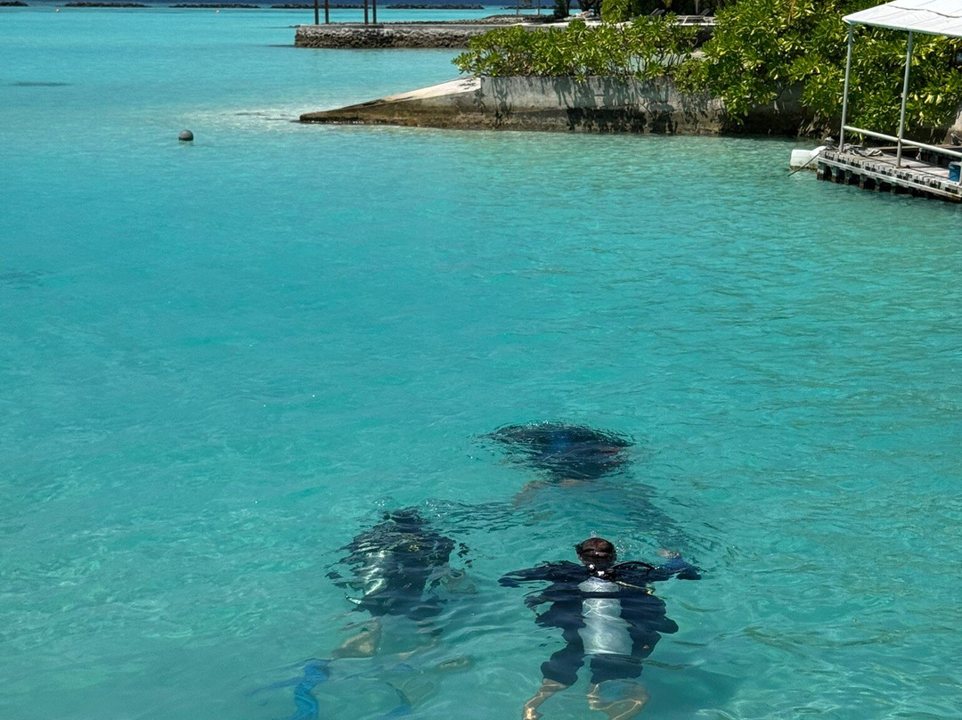 Euro-Divers Kurumba-库鲁巴椰子岛必去景点