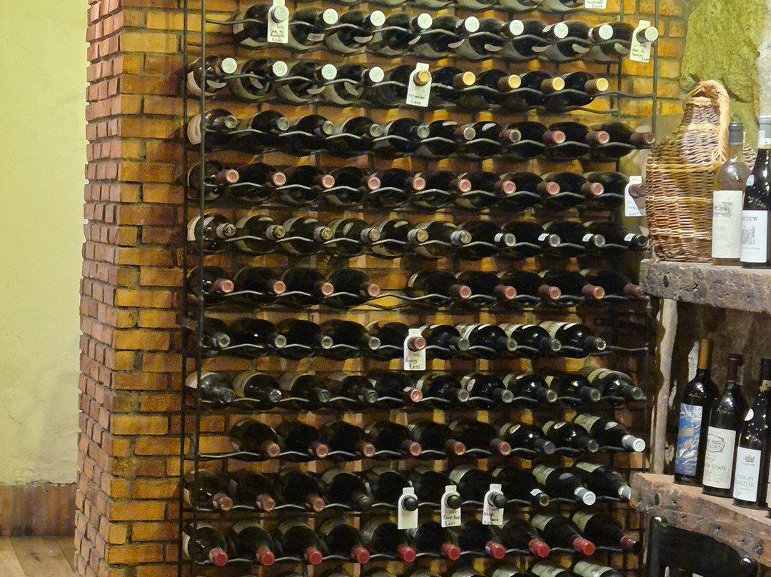 Glorious Cape Tours-开普敦中心区必去景点