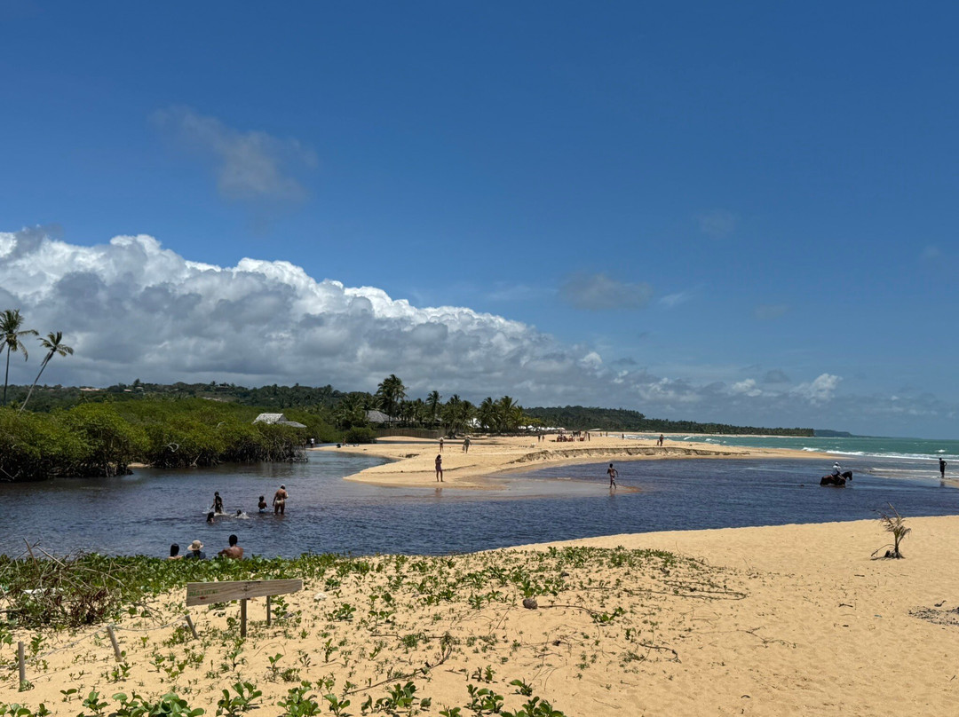 Praia dos Nativos-特兰科苏必去景点