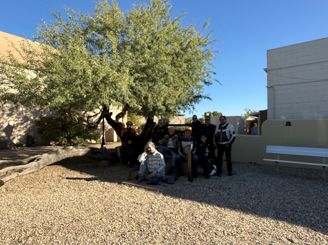 The Jail Tree-Wickenburg必去景点