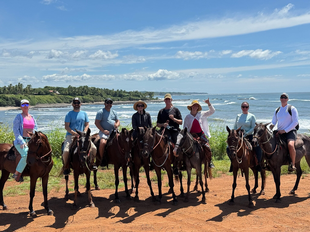Guti Tours-Playa Avellanas必去景点