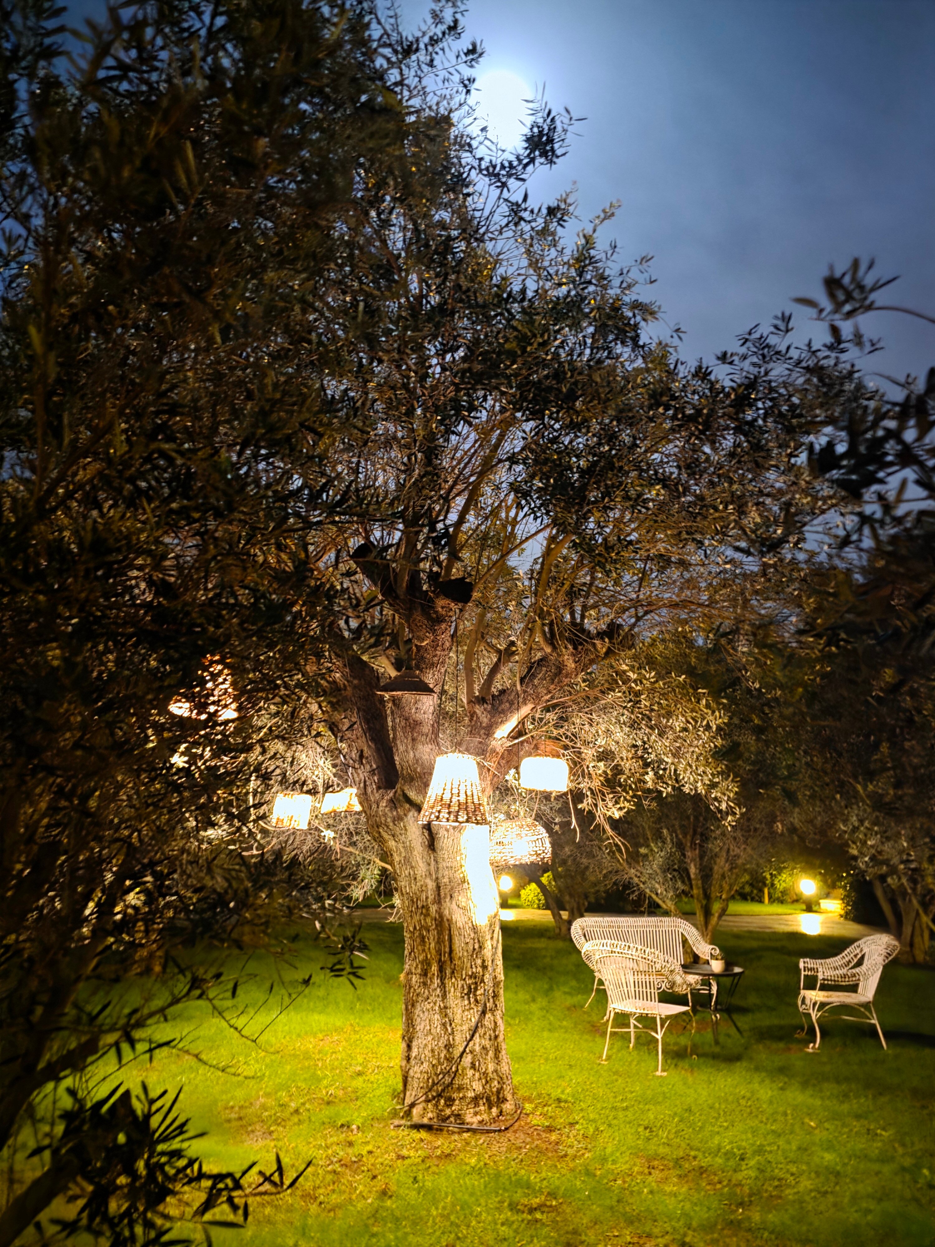 Kimera Lounge-官方