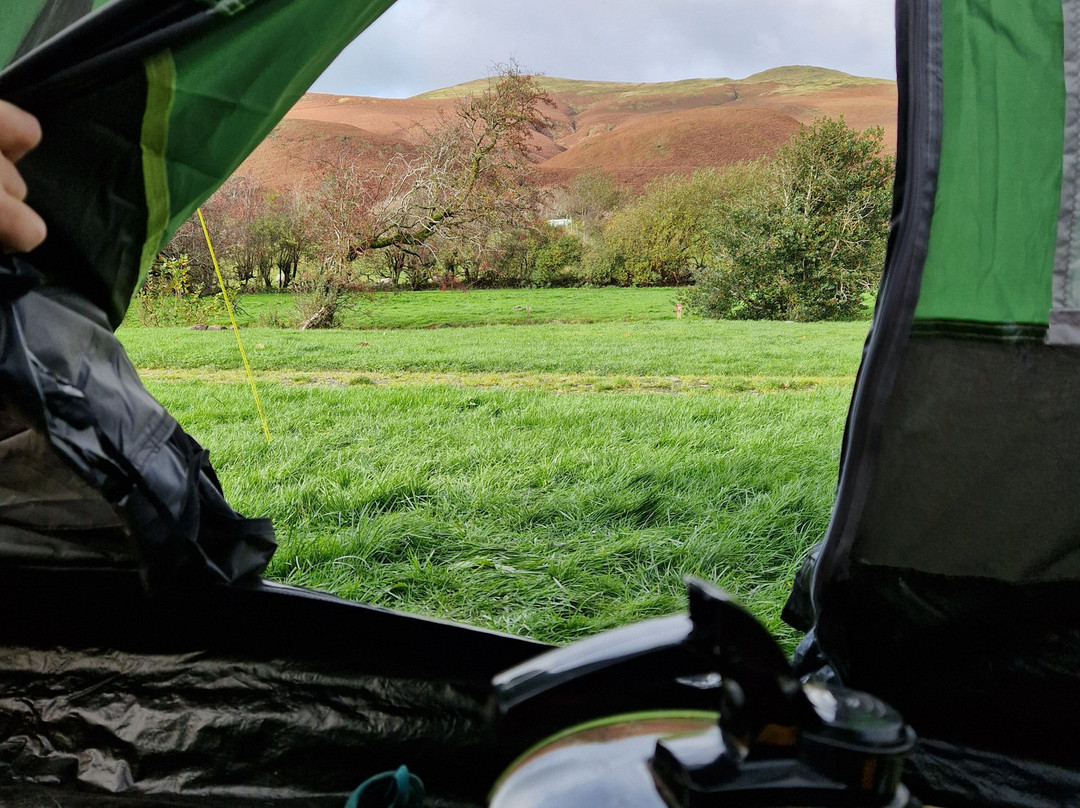 Cumbrian Heavy Horses-Millom必去景点