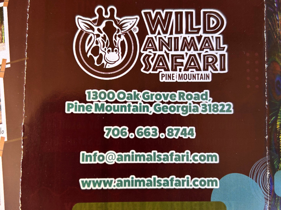 Wild Animal Safari-Pine Mountain必去景点