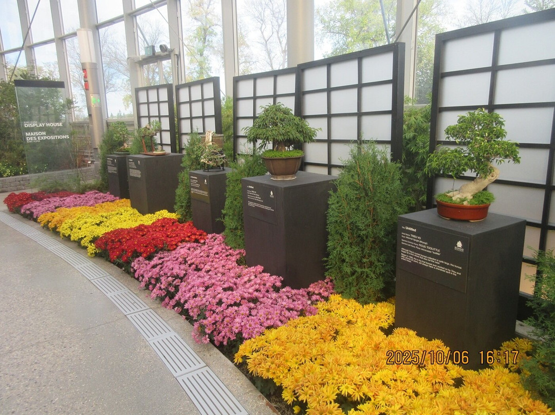 The Leaf-温尼伯必去景点