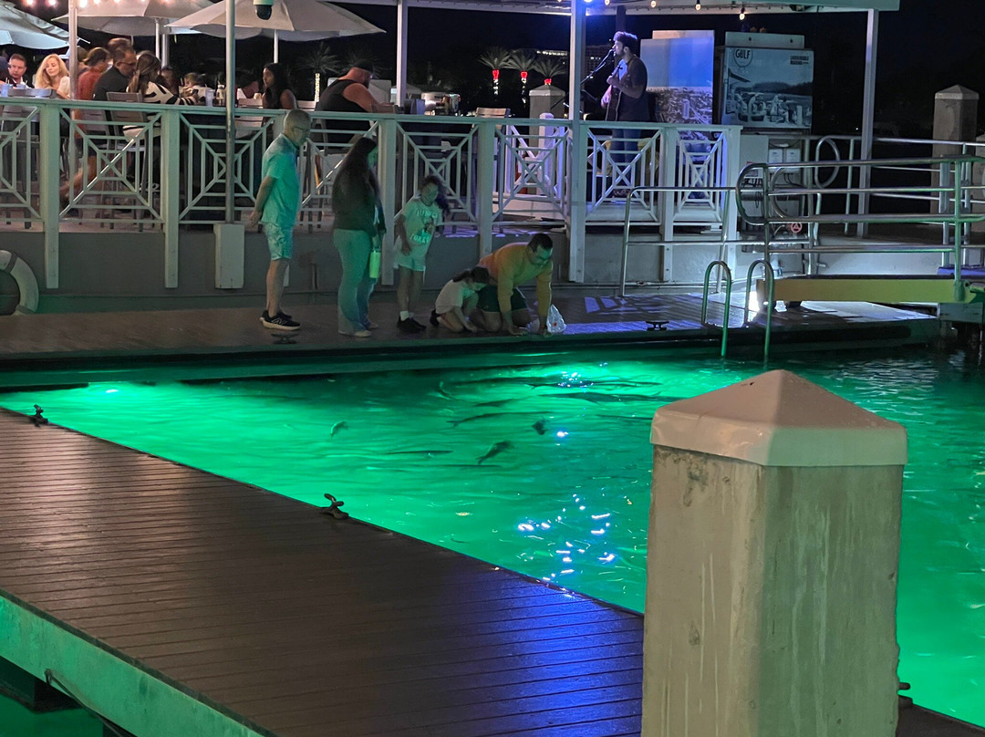 15th Street Fisheries-劳德代尔堡必去景点