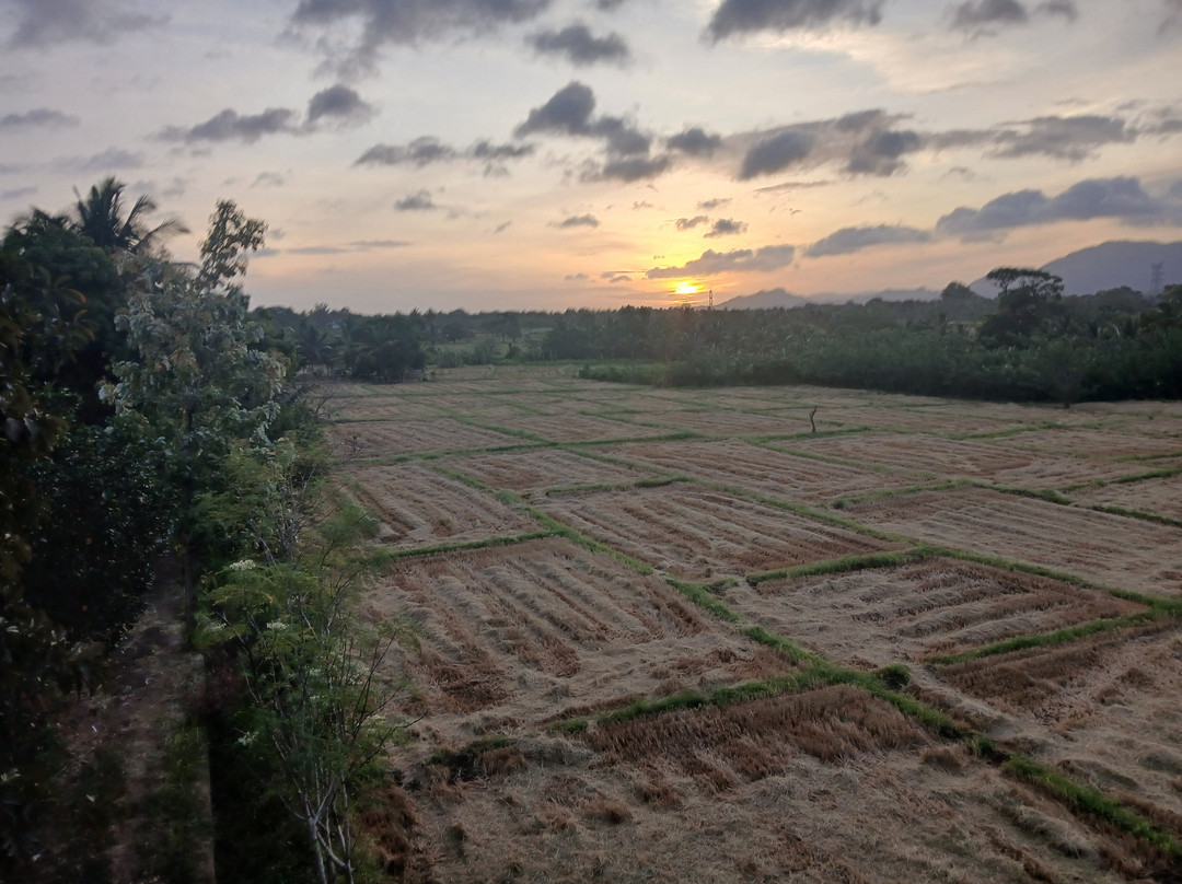Hotel Silver Horse Dambulla