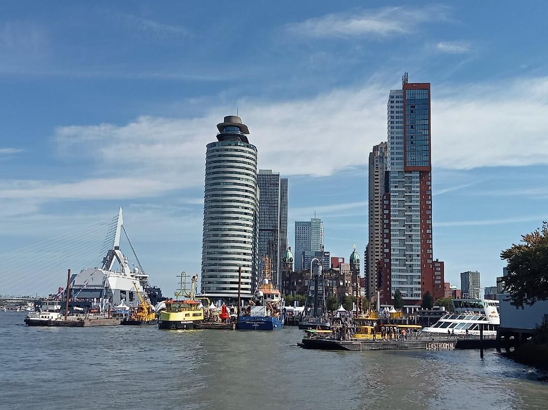 Wilhelminapier-鹿特丹必去景点