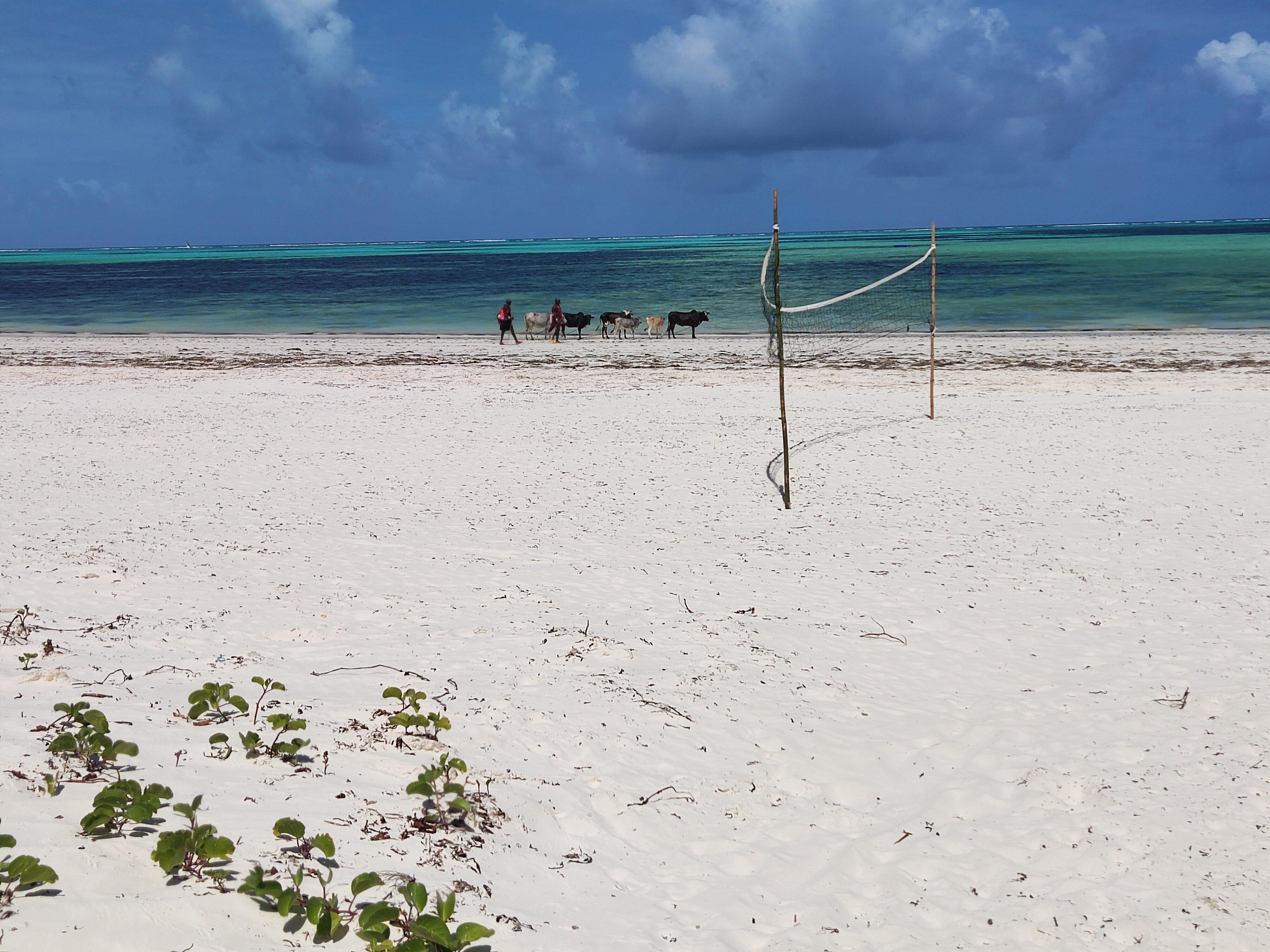 齐斯瓦海滩公寓-泳池
