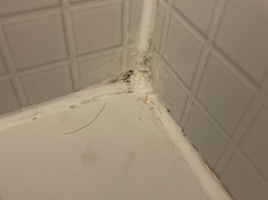 里尔南基钟楼酒店 - CHR主图