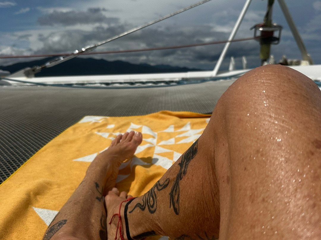 Flying Ginny Catamaran Charter-埃尔波韦尼尔必去景点