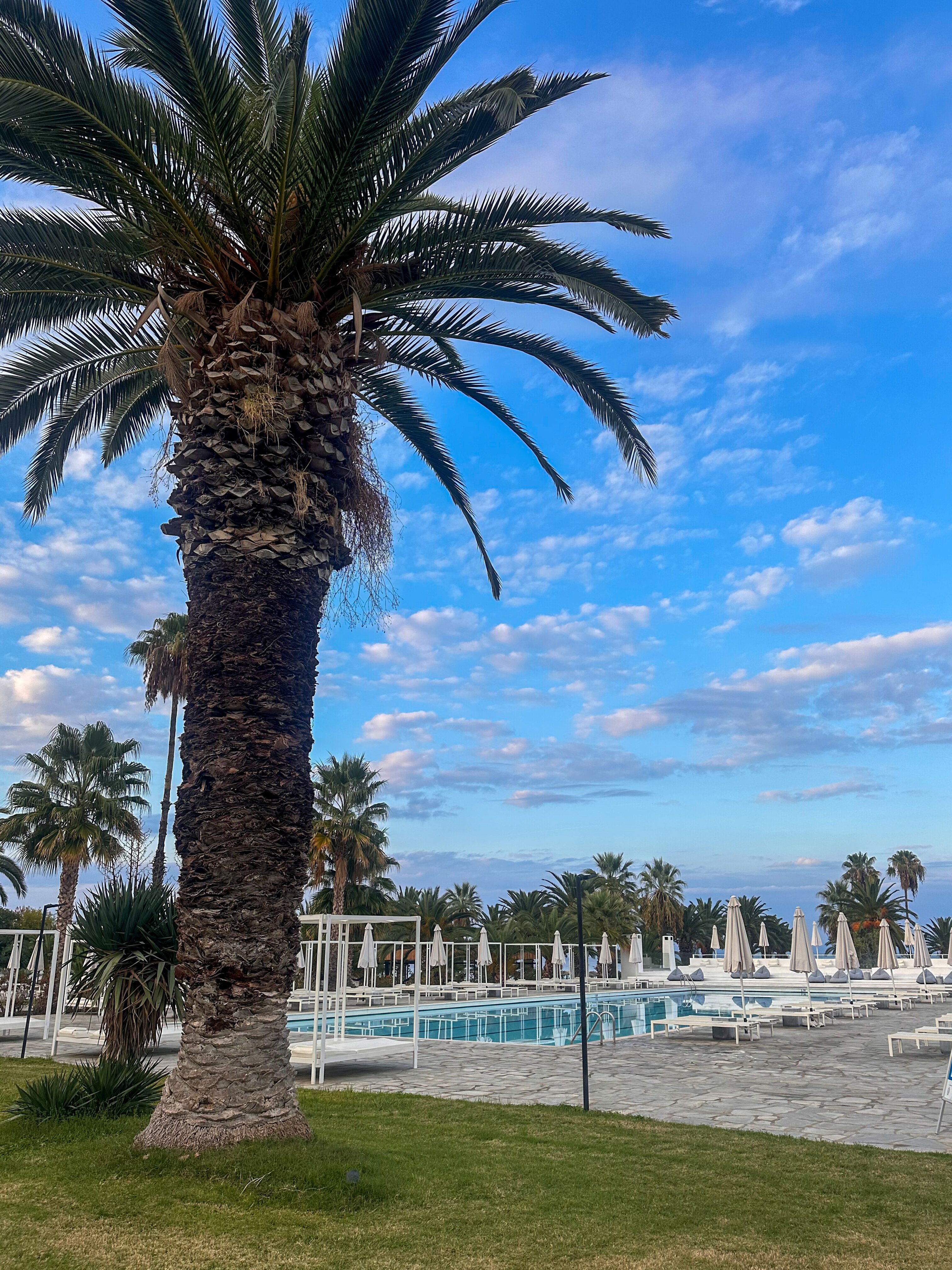 Kassandra Palace Seaside Resort-泳池