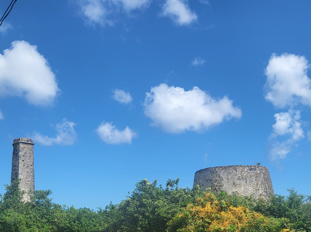 Estate Whim Museum-Frederiksted必去景点