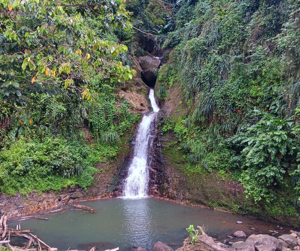 Annandale Falls-St. George's必去景点