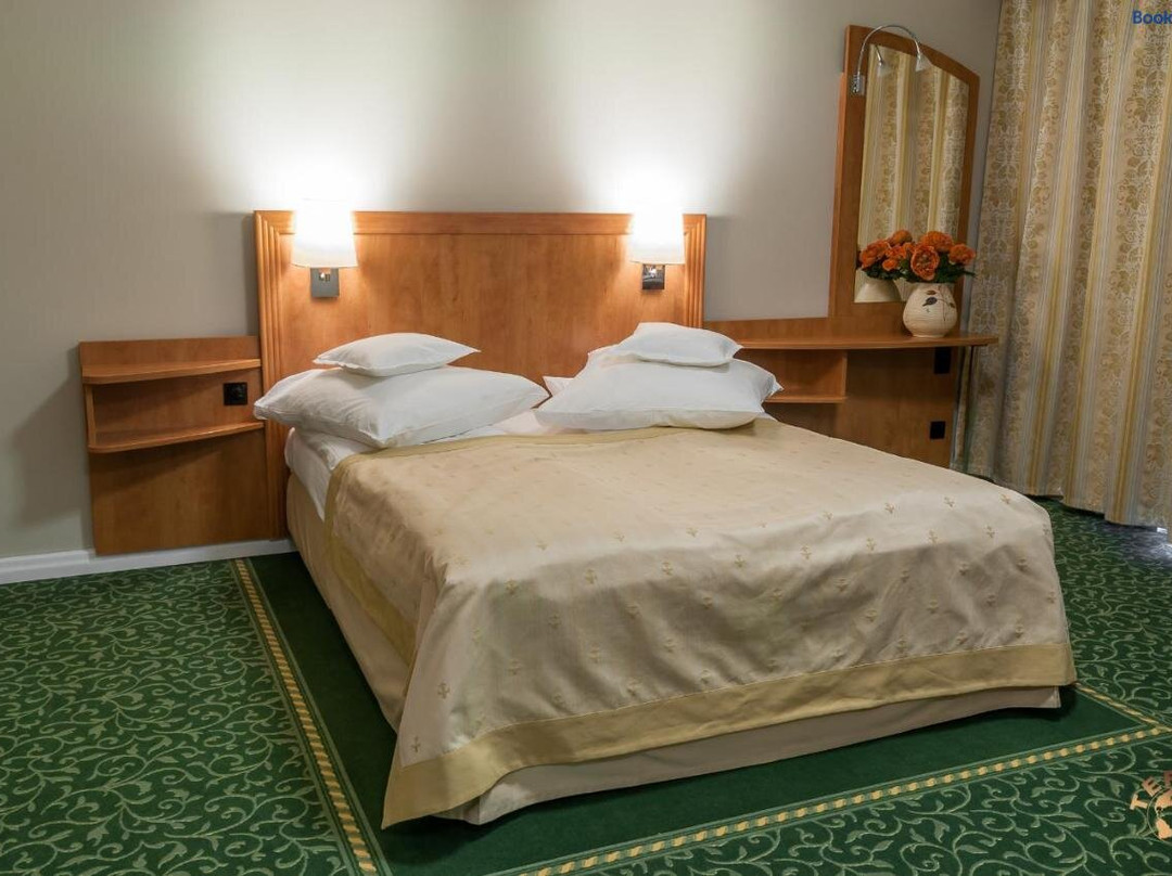 Pensiunea Terra主图