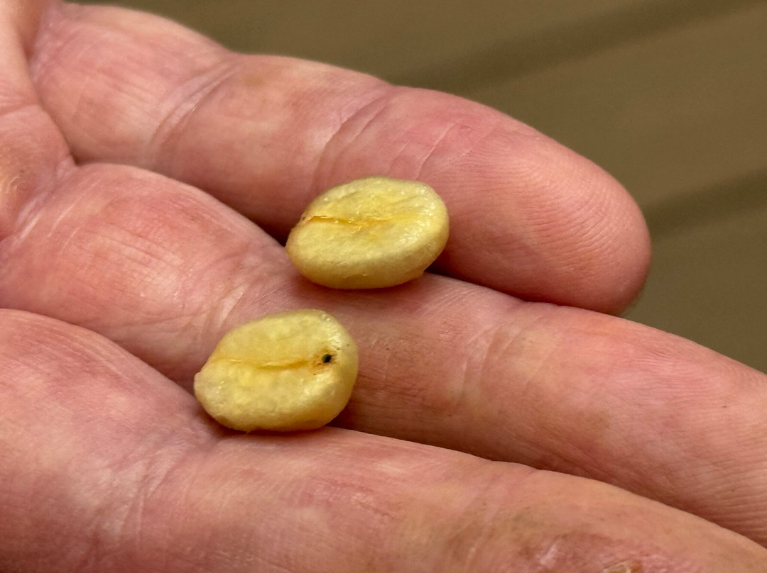 夏威夷仙境农场-哈陆亚洛亚必去景点